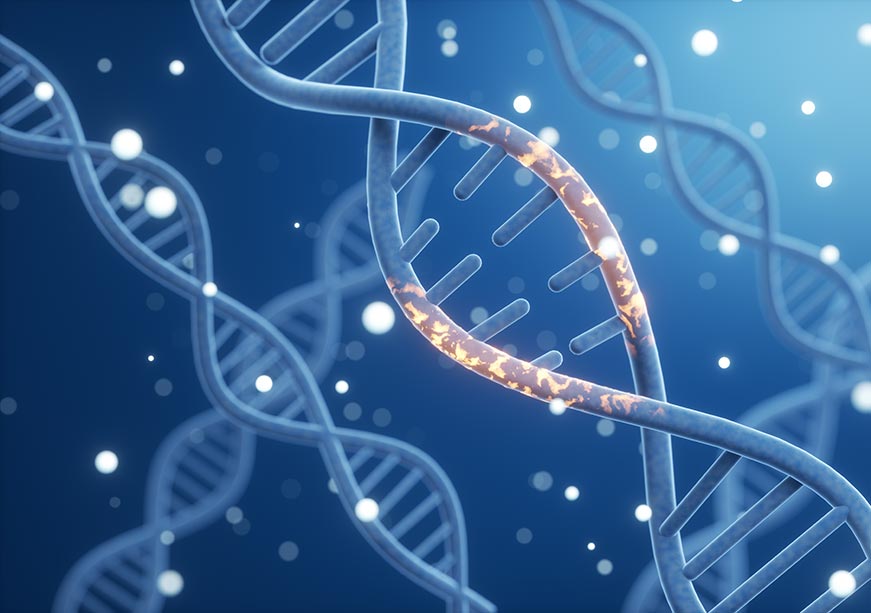 Nobel Prize breakthrough: The transformative potential of miRNAs  