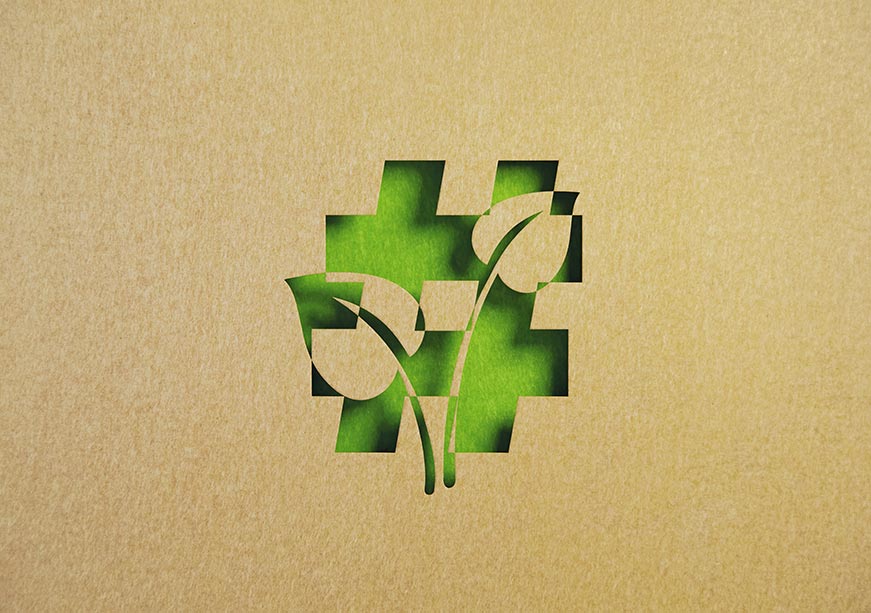 Climate change’s new ‘X’ factor: The interconnection of social media and climate policy