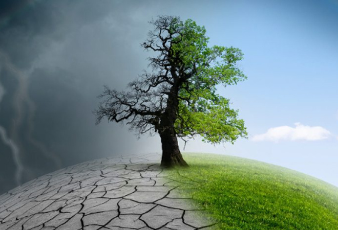 Climate actions need both native and Artificial Intelligence  