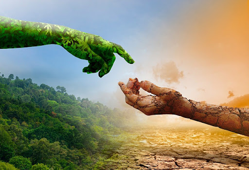 LiFE, लचीलापन और कल्याण: भारत की अनिवार्यताएं