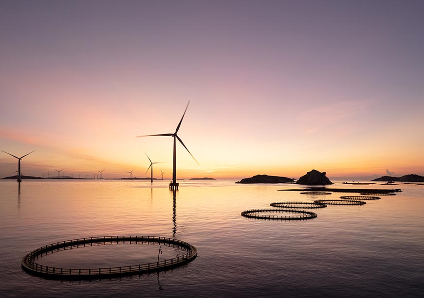 Unlocking ocean innovation: A pathway to sustainable development goals