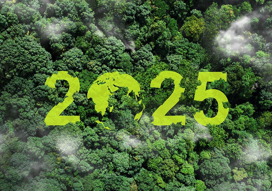 Balancing energy security and transition: A critical outlook for 2025