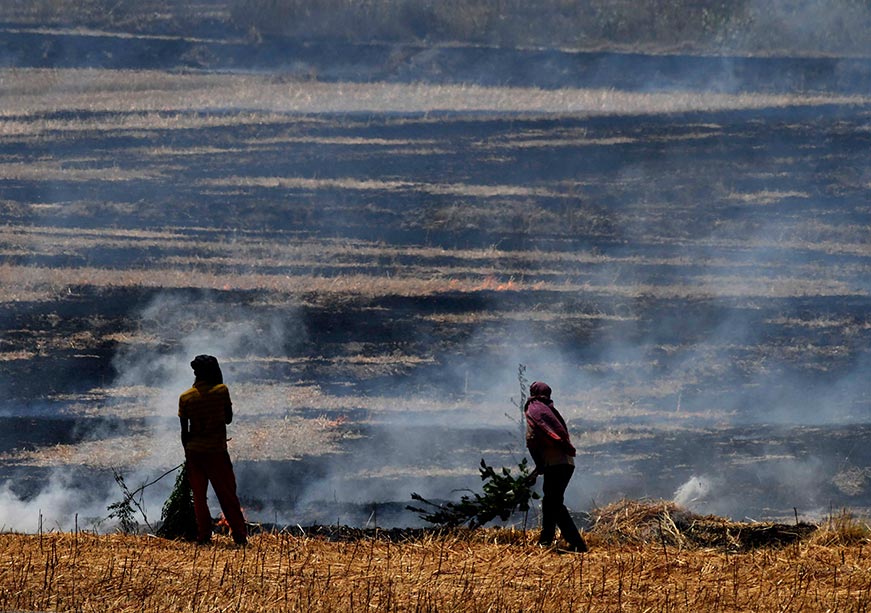 Stubble burning in India: Causes, consequences, and solutions  
