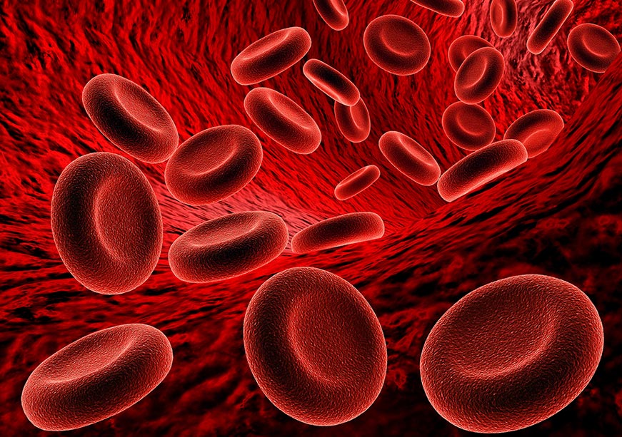 Anaemia in India: A silent public health crisis  