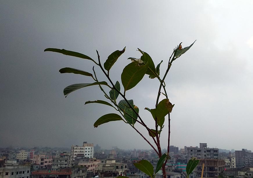 Building urban resilience to climate change
