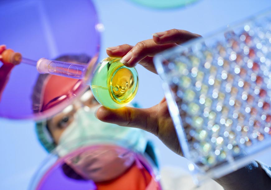 Bridging gaps in biosecurity: The significance of information  