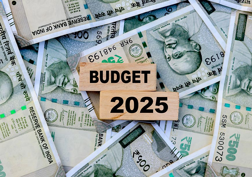 Developmental priorities in Budget 2025-26  