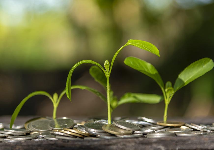 Budget 2025: Powering India’s green energy future  
