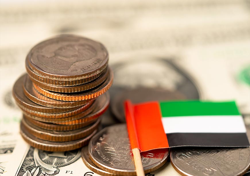UAE और अफ्रीका के बीच आर्थिक संबंधों की नई इबारत  