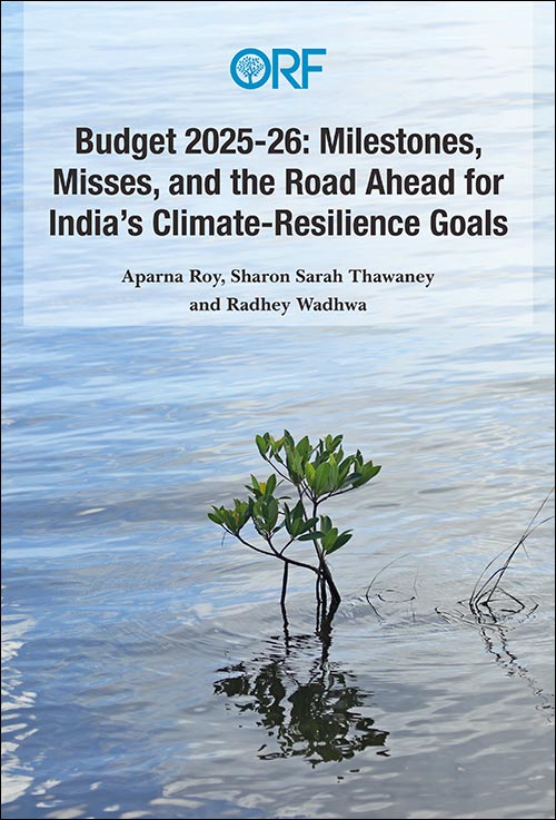 Budget 2025-26: Milestones, Misses, and the Road Ahead for India’s Climate-Resilience Goals  