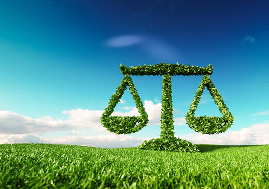 Small states, big impact: Driving climate action through norm entrepreneurship  