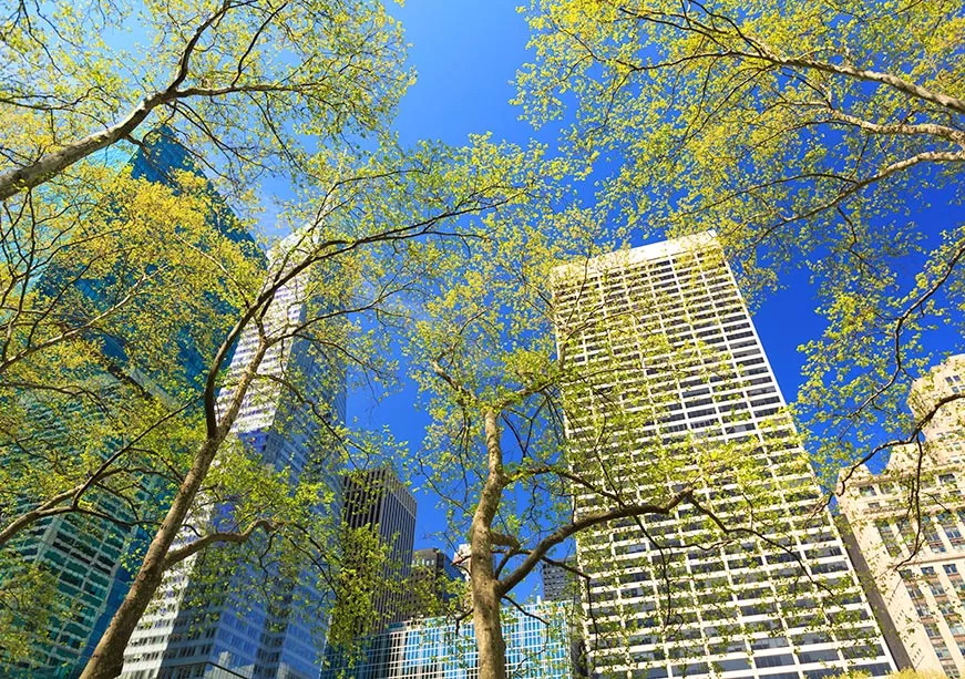 Leveraging Philanthropy to Strengthen Climate Resilience  