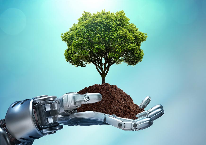 Greening AI: US-India Role in Balancing Innovation and Sustainability  