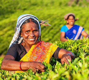 भारतीय कृषि की पुनर्कल्पना: मुनाफे से कल्याण और मिट्टी से समृद्धि तक