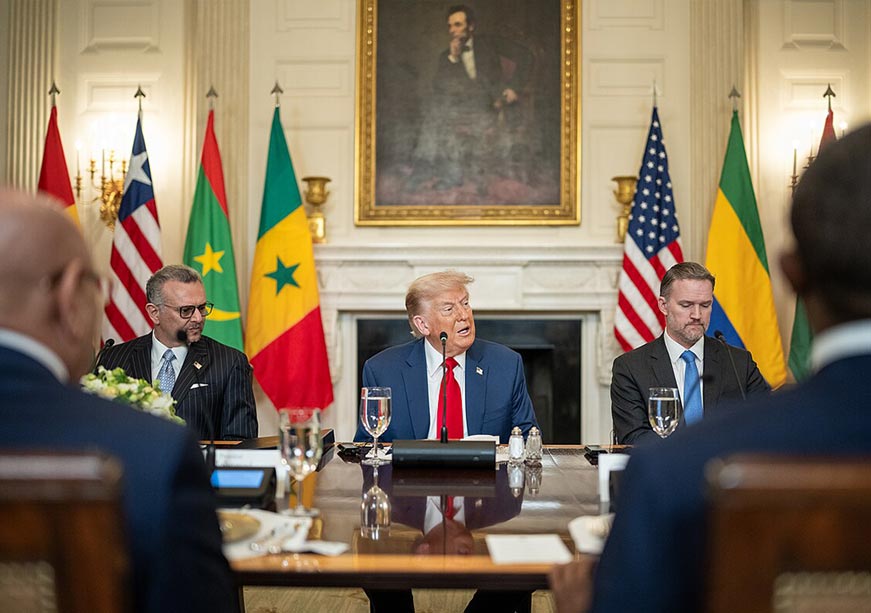 ट्रम्पचा आफ्रिकन डाव: सुपीक जमीन, अमूल्य खनिजं, अफाट तेलसाठे