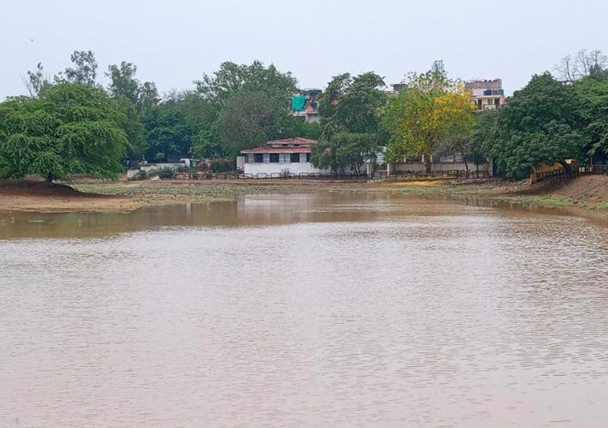 Rejuvenating Waterbodies through Nature-Based Solutions