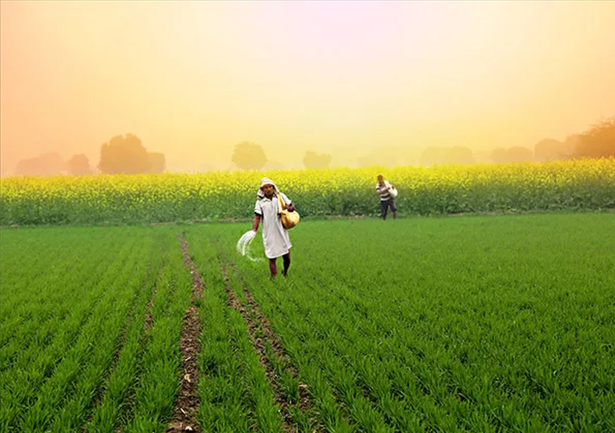 Feeding the Future: Nature-based Solutions for Resilient Food Systems  