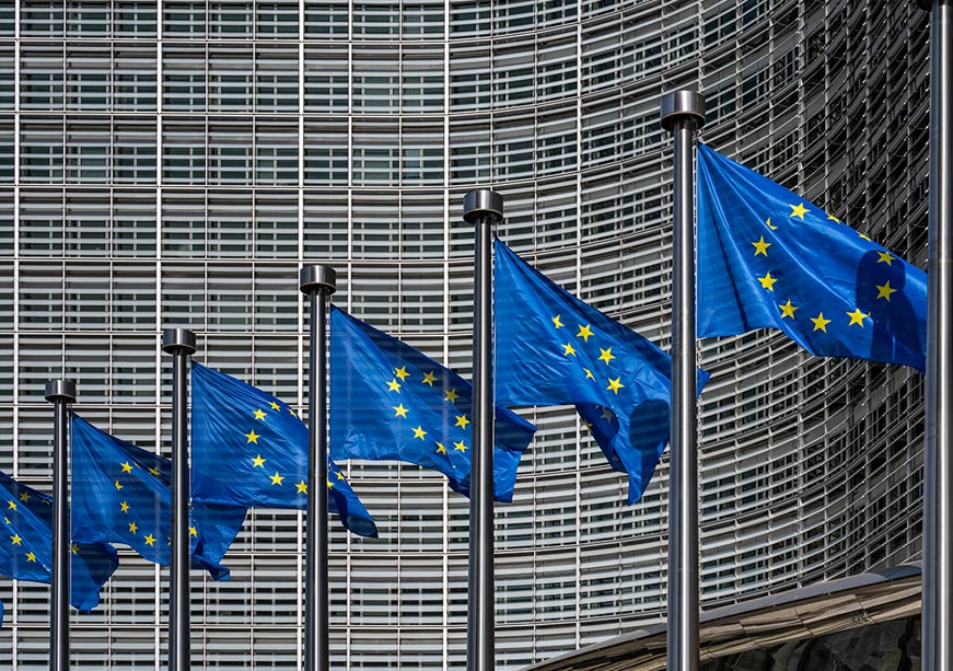 ইএসজি প্রতিশ্রুতি পেরিয়ে: ইইউ-এর কর্পোরেট সাসটেনেবিলিটি ডিউ ডিলিজেন্স নির্দেশিকা