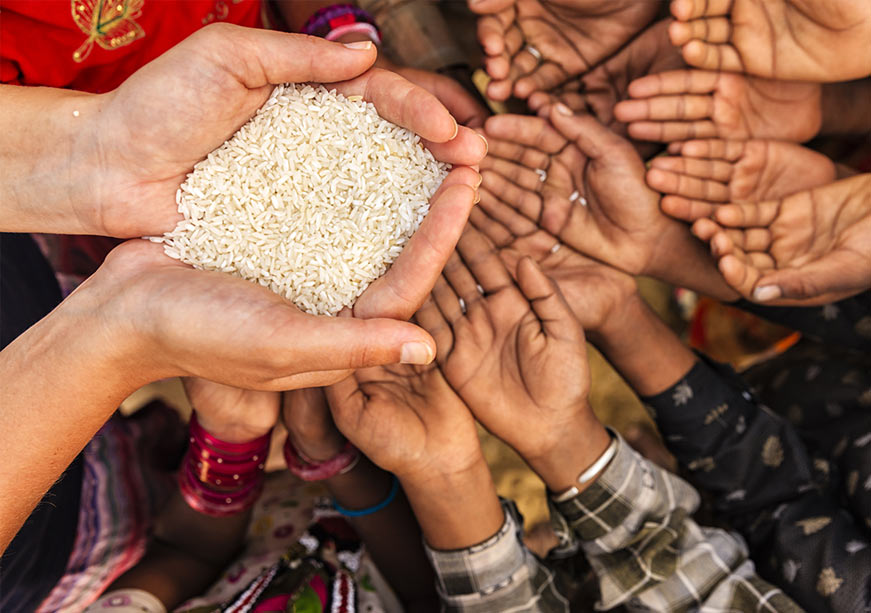 World Food Day 2025: Building Sustainable Food Systems for All  