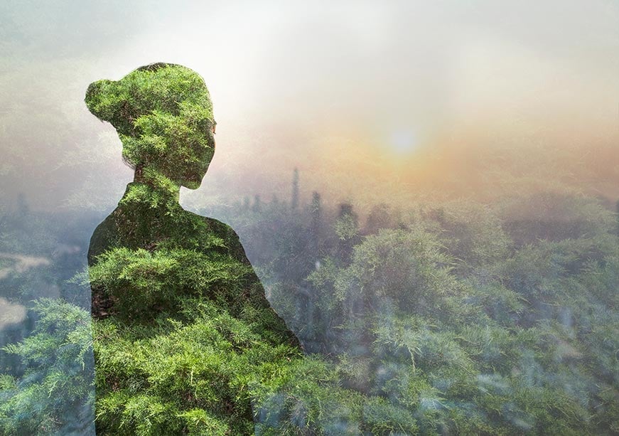 নারী ও জলবায়ু কর্মকাণ্ড