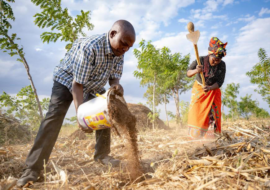 From Paris to Belém: Building a Climate-Resilient Food Future