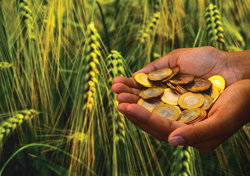Beyond Market Access: Making Indian Agriculture Export-Ready  