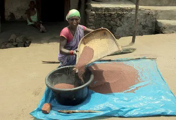 রবিশস্যের ন্যূনতম সহায়ক মূল্য ভুল সঙ্কেত পাঠাল  