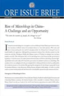 Rise of Microblogs in China – A Challenge and an Opportunity
