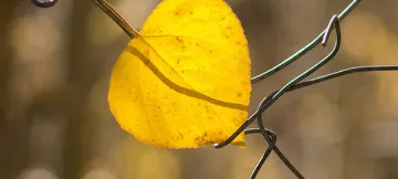 बदलाव की दहलीज़ पर खड़ा है जम्मू और कश्मीर; लेकिन चुनौतियां आगे भी रहेंगी बरक़रार !  