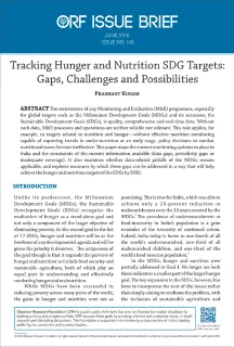 Tracking Hunger and Nutrition SDG Targets: Gaps, Challenges and Possibilities  