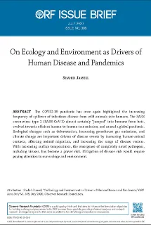 On Ecology and Environment as Drivers of Human Disease and Pandemics