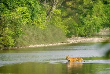 ग्लोबल बायो-डायवर्सिटी फ्रेमवर्क और भारत में संरक्षित क्षेत्रों के संरक्षण की स्थिति