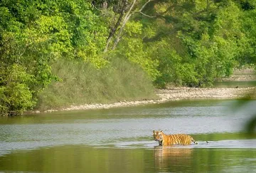 ग्लोबल बायो-डायवर्सिटी फ्रेमवर्क और भारत में संरक्षित क्षेत्रों के संरक्षण की स्थिति  