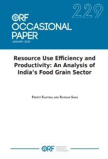 Resource use efficiency and productivity: An analysis of India’s food grain sector  