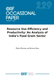 Resource use efficiency and productivity: An analysis of India’s food grain sector