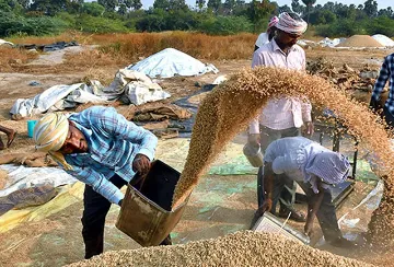 বিমস্টেক-এর অগ্রাধিকার: খাদ্য নিরাপত্তা ও বাণিজ্য-উজ্জীবন  