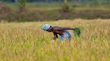 वाट चुकलेली ‘पंतप्रधान शेतकरी योजना’  