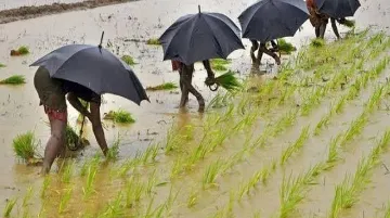 भारत घडविणारा मान्सून