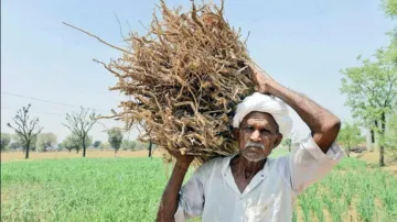 कर्नाटकाच्या भूसुधारणा शेतकरीहिताच्या