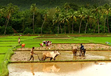 हवामान-रेझिलींट शेतीकडे लक्ष देऊन भारताची भागीदारी मजबूत करणे  