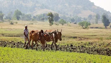 शेतकरी आजही आर्थिक पारतंत्र्यातच!  