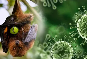 Nipah: A deadly and mysterious disease