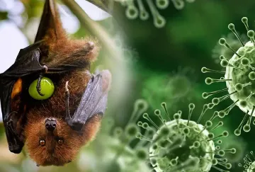 Nipah: A deadly and mysterious disease  