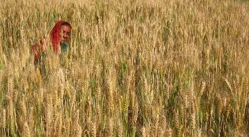 একটি ‘ন্যায়সঙ্গত রূপান্তর’: ভারতের দূষণমুক্ত শক্তির রূপান্তর কি আদৌ সবাইকে অন্তর্ভুক্ত করে?  