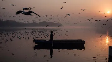 ভারতের নব দরিদ্র: স্থিতিস্থাপকতার কৌশল  