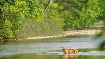 जागतिक जैवविविधता संरचना आणि भारतातील संरक्षित क्षेत्रांच्या संवर्धनाचं आव्हान  