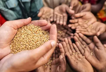 Development partnerships for food security: India in  