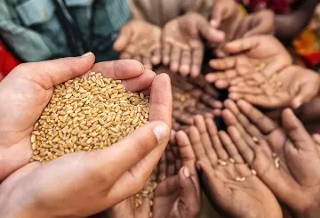 Development partnerships for food security: India in the Indo-Pacific