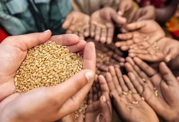 খাদ্য নিরাপত্তার জন্য উন্নয়ন অংশীদারিত্ব: ইন্দো–প্যাসিফিকে ভারত