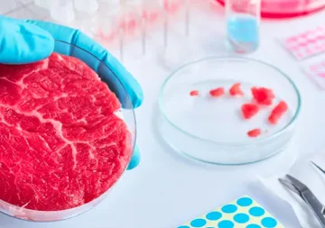 Foods of the future: Ecological promises and ethical challenges of synthetic meat  